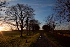 a-late-afternoon-sun-at-mugdock-10