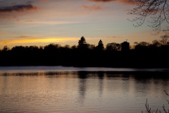 a-late-afternoon-sun-at-mugdock-2