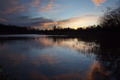 a-late-afternoon-sun-at-mugdock-5