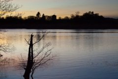 a-late-afternoon-sun-at-mugdock-3