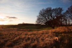 a-late-afternoon-sun-at-mugdock-8