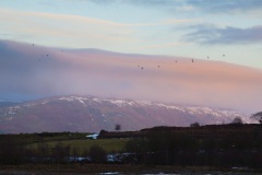 a-wander-onto-the-moor-1