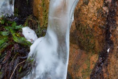 a-wander-onto-the-moor-15