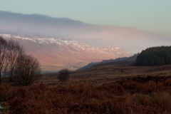 a-wander-onto-the-moor-8