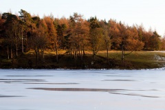 a-wander-onto-the-moor-9