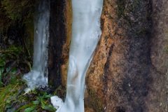 a-wander-onto-the-moor-16