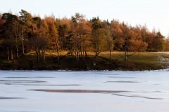 a-wander-onto-the-moor-9