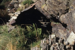 black-castle-of-the-minstrels-3