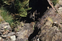 black-castle-of-the-minstrels-4