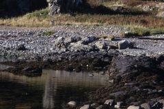 black-castle-of-the-minstrels-8