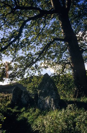 Camus nan Gael burial chamber