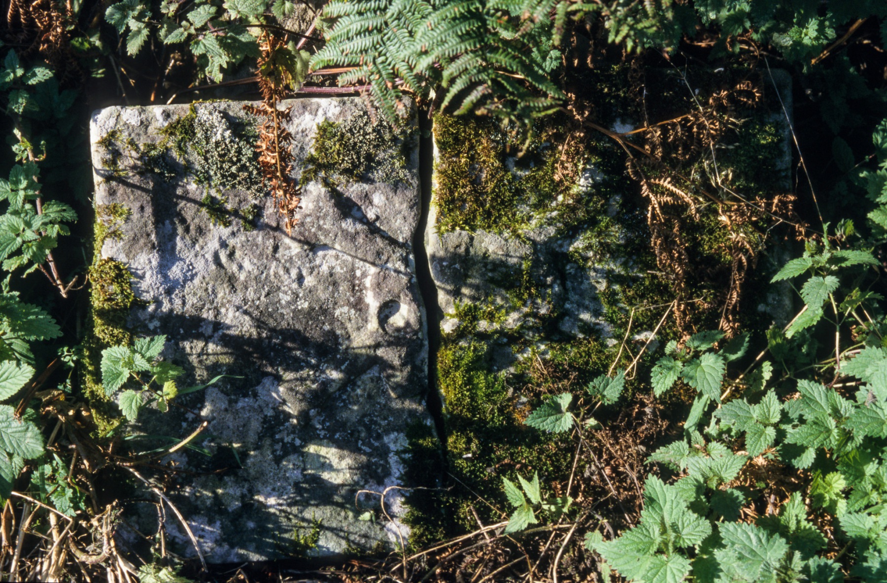 Camus nan Gael gravestone
