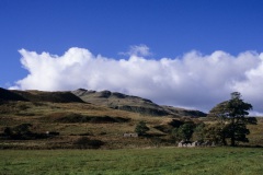 Camus nan Gael