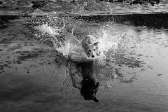 Chasing Reflections
