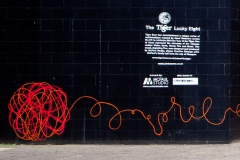 clyde-tiger-3