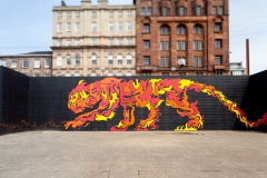clyde-tiger-4