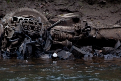 Dipping amongst the scrap