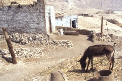 el-kurna-14