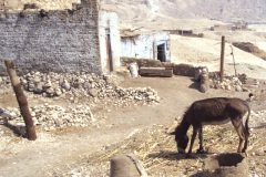 el-kurna-14