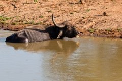 Cooling down