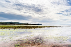 heads-of-ayr-and-greenan-castle-1