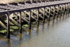heads-of-ayr-and-greenan-castle-12