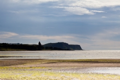heads-of-ayr-and-greenan-castle-6