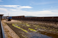 heads-of-ayr-and-greenan-castle-7