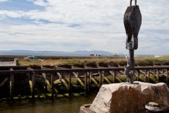 heads-of-ayr-and-greenan-castle-10