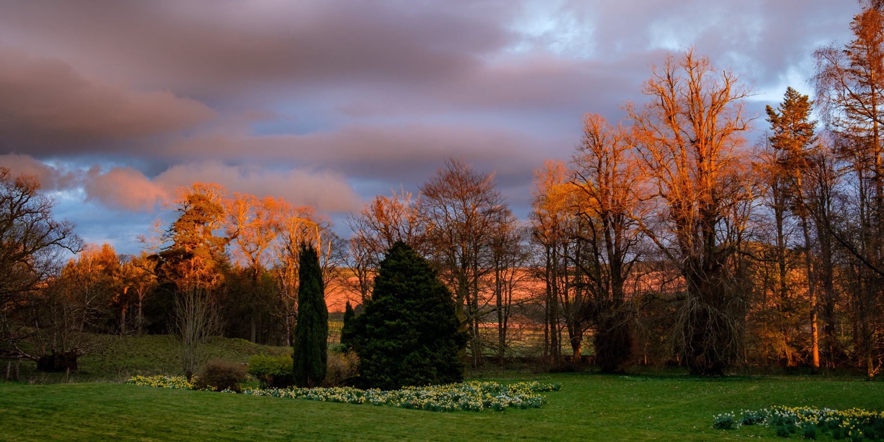 late-evening-sun-1