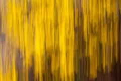 life-is-a-blur-3