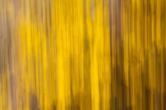 life-is-a-blur-4