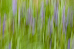 life-is-a-blur-6