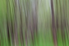 life-is-a-blur-1