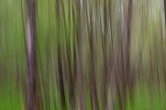 life-is-a-blur-2