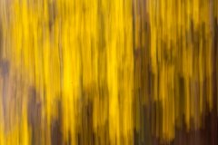 life-is-a-blur-3