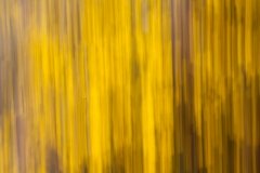 life-is-a-blur-4