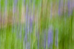 life-is-a-blur-5
