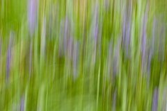 life-is-a-blur-6