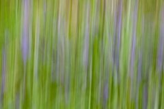 life-is-a-blur-7