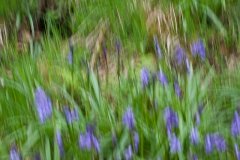 life-is-a-blur-8