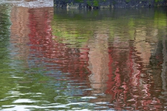 lunchtime-wanders-albert-bridge-15