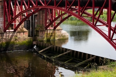 lunchtime-wanders-albert-bridge-17