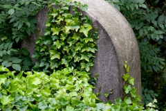 lunchtime-wanders-necropolis-1