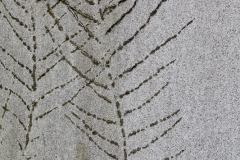 lunchtime-wanders-necropolis-18