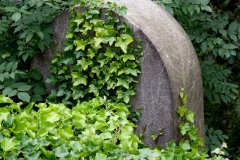 lunchtime-wanders-necropolis-1