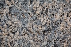 lunchtime-wanders-necropolis-17