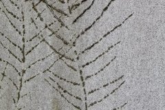 lunchtime-wanders-necropolis-18