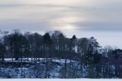 new-years-day-walk-8