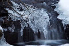 new-years-day-walk-9